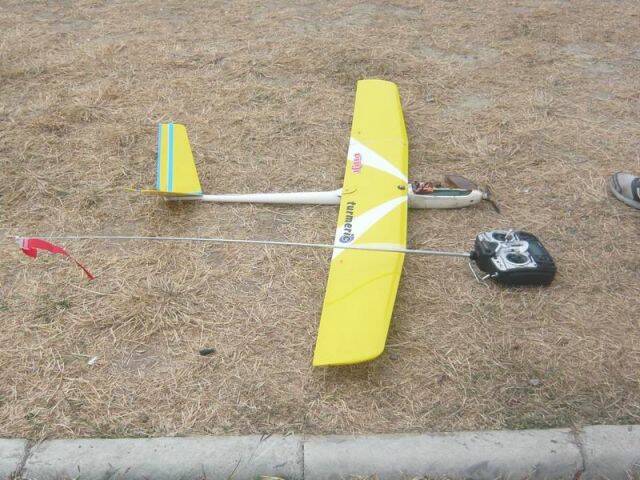 P1050351.JPG