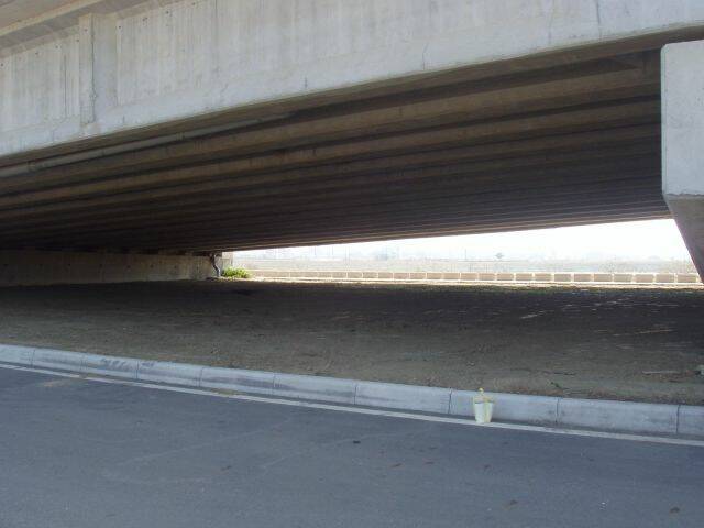 P2011557.JPG