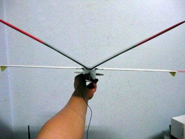 P1040403.jpg
