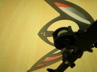 DSCI0011m.jpg