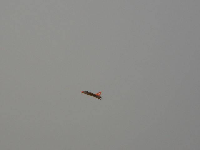 DSC01517.JPG
