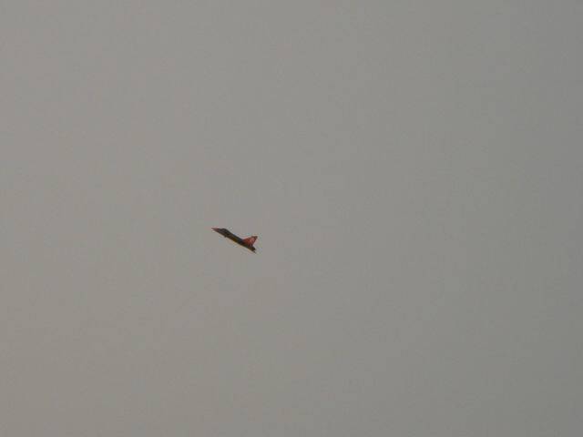 DSC01518.JPG
