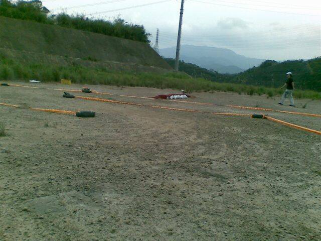 20090212(002).jpg