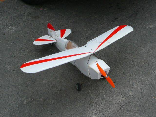 P1040464.jpg