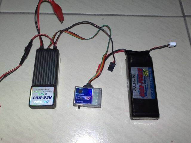 20090215286.jpg