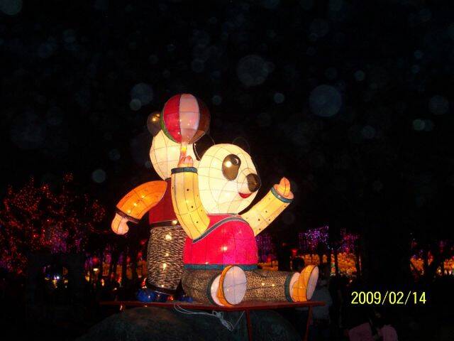 100_1309.JPG