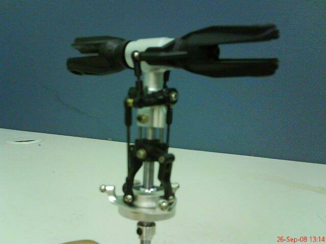 DSC00338.JPG