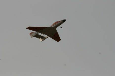 jetscat2.jpg