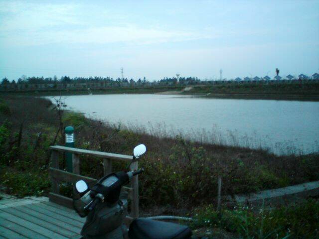 DSC00242.JPG