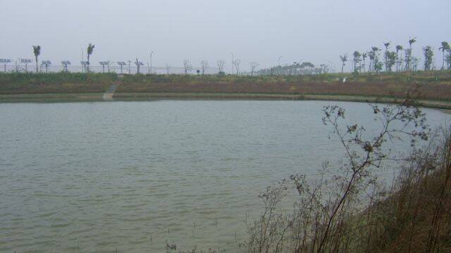 DSCF2083.JPG