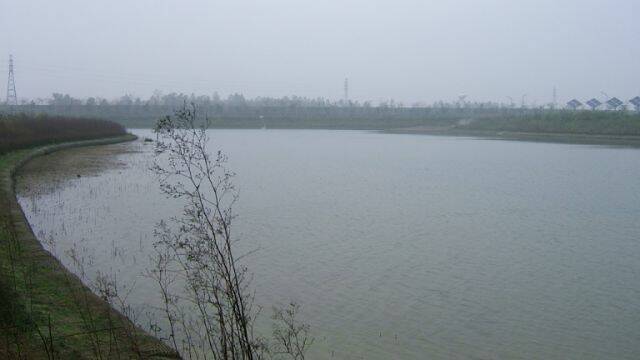 DSCF2082.JPG