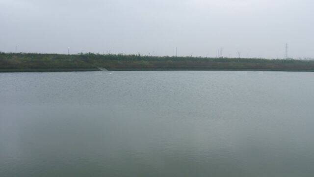 DSCF2085.JPG