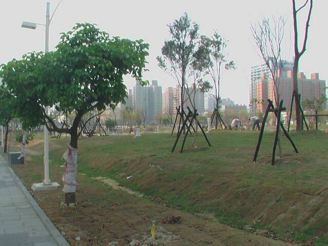IMGA0022.JPG