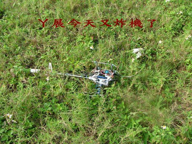 DSCF2916.jpg
