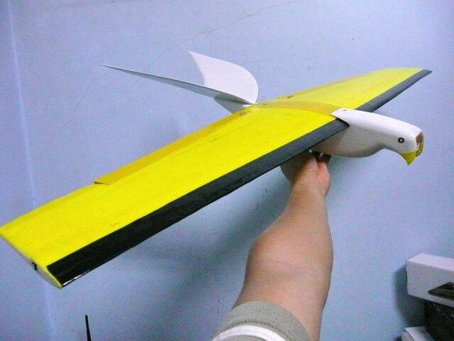 P1040495.jpg