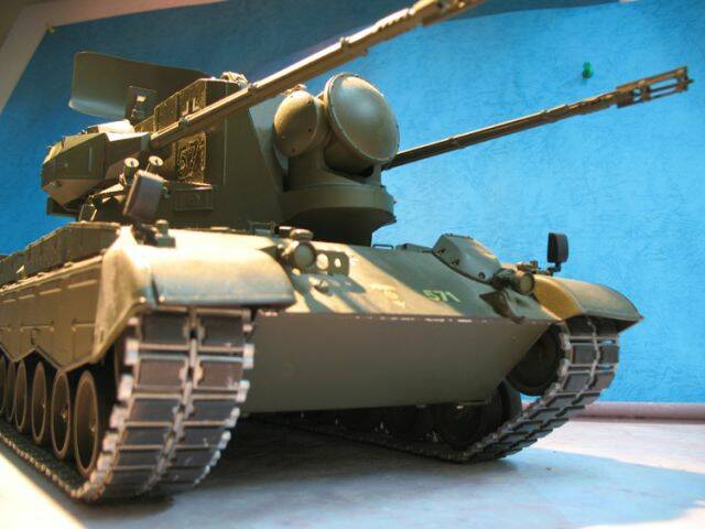 Gepard 3.JPG