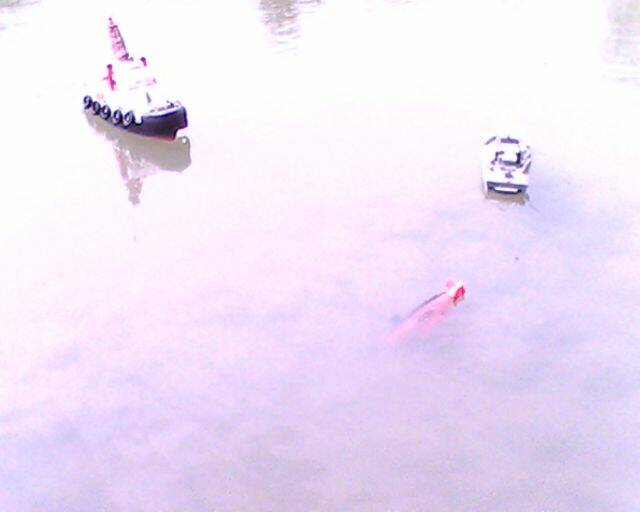 IMG2162A.jpg