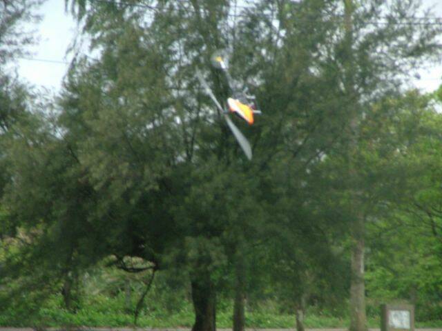 DSCF2973.jpg