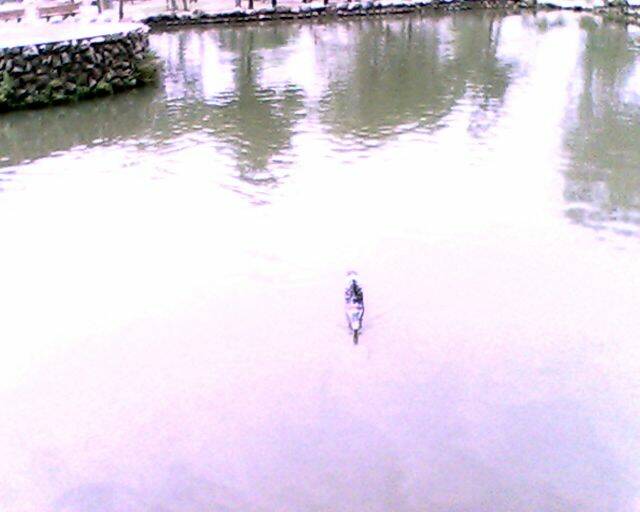 IMG2133A.jpg