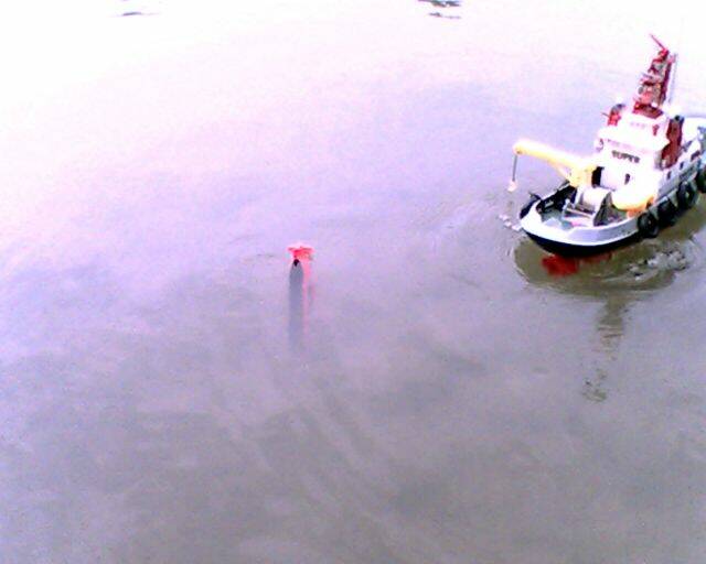IMG2143A.jpg