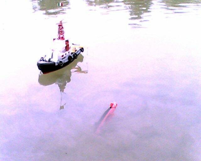 IMG2137A.jpg