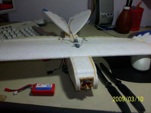 100_2415.JPG