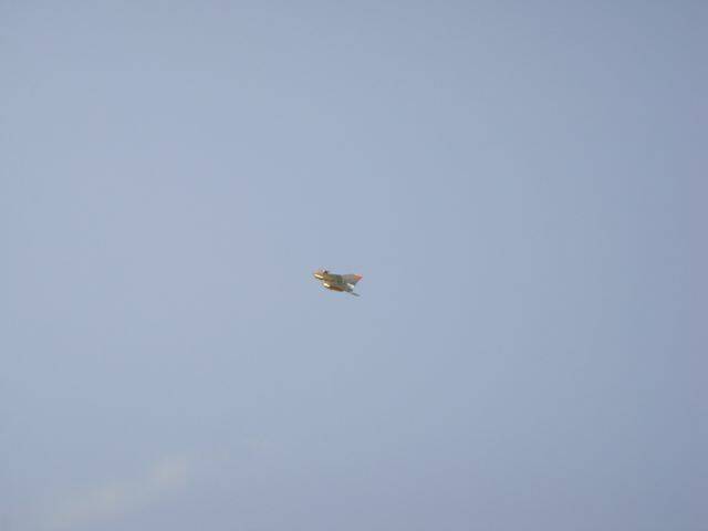 DSC04078-1.jpg