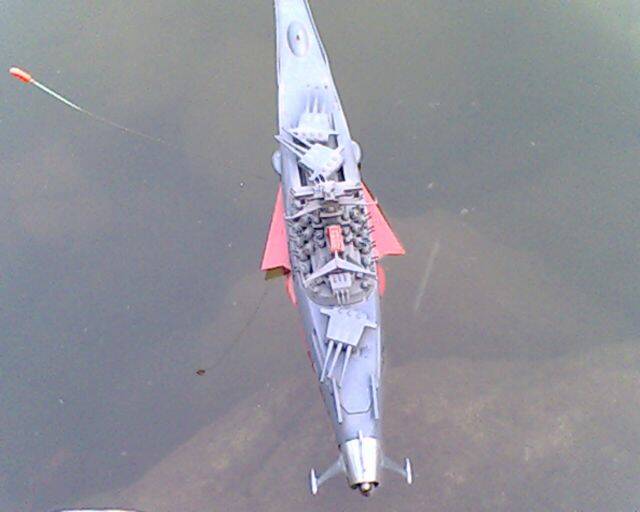 IMG2207A.jpg