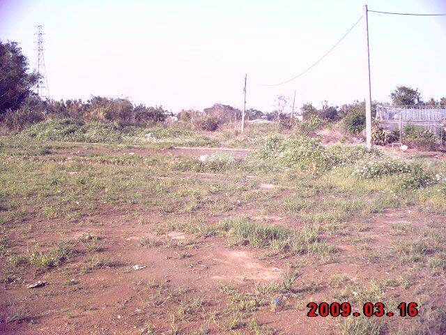 IMAG0016.JPG
