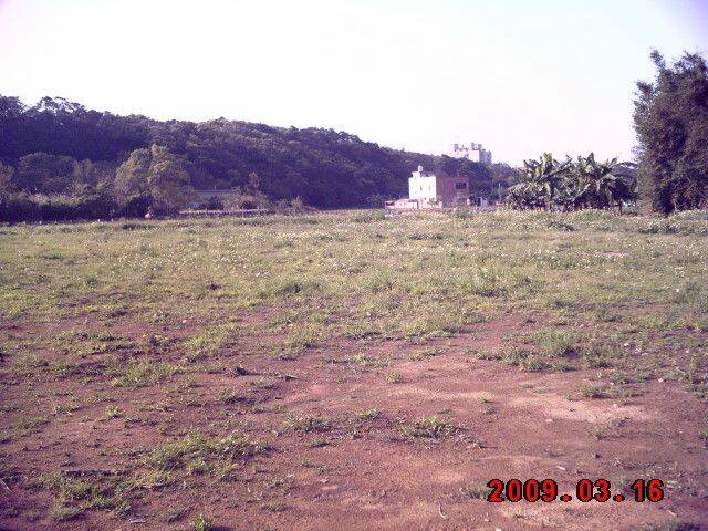 IMAG0015.JPG