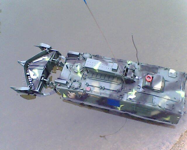 IMG2234A.jpg