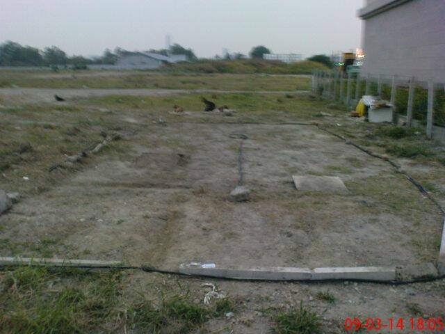 DSC00313.JPG