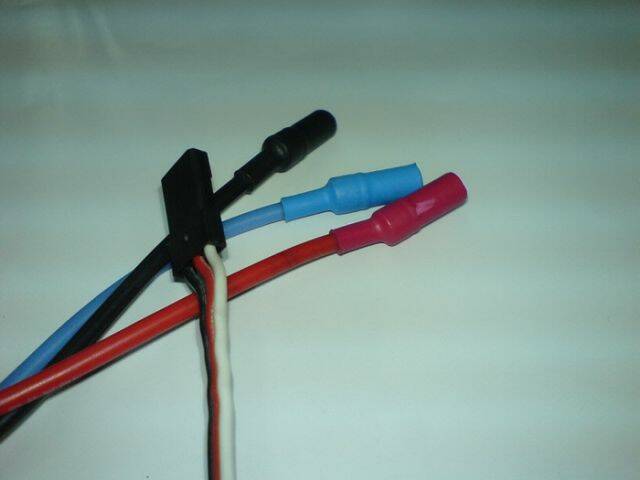 DSC03420.jpg