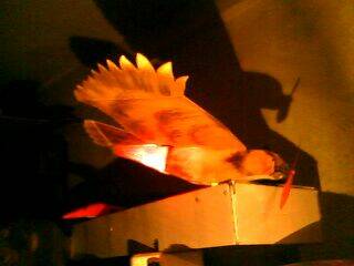 IMG0326A.jpg