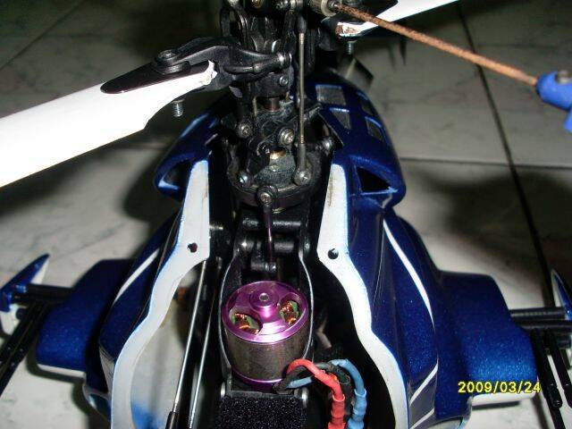 SL370386.JPG