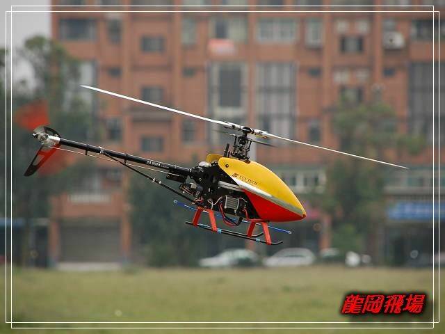 DSC_7344.jpg