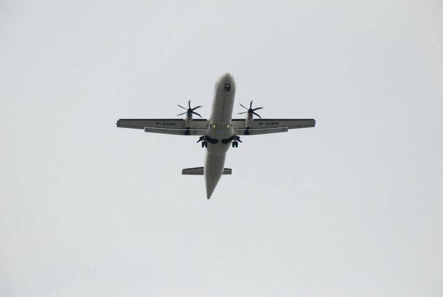 m_DSC_0190.JPG