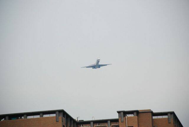 m_DSC_0180.JPG