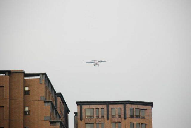 m_DSC_0184.JPG