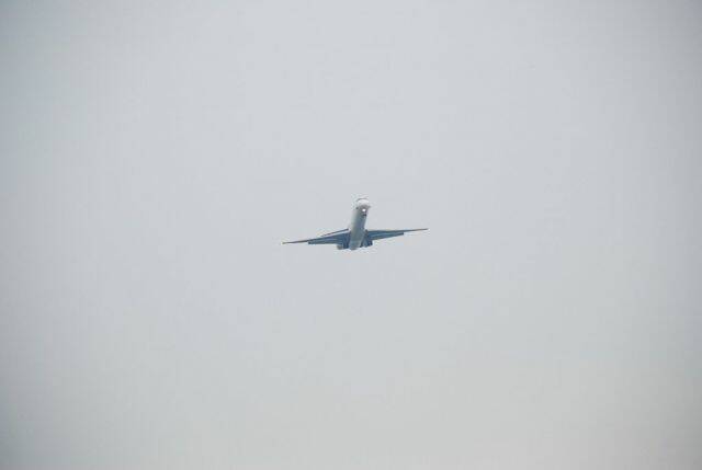 m_DSC_0181.JPG