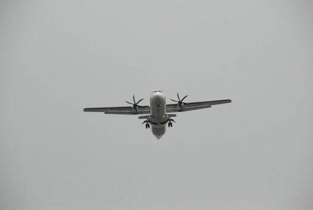 m_DSC_0168.JPG