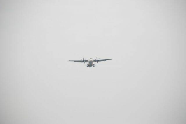 m_DSC_0186.JPG