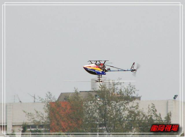 DSC_7555.jpg