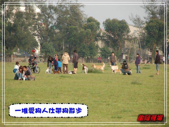 DSC_7623.jpg