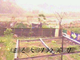 IMG0024A.jpg