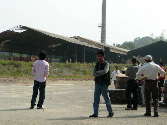 P1040774.jpg