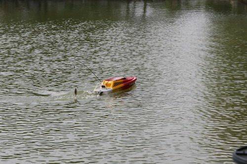 IMG_6731.jpg