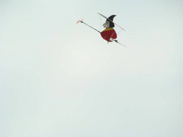 m_DSC02895.jpg