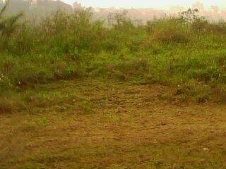 IMG0006A.jpg