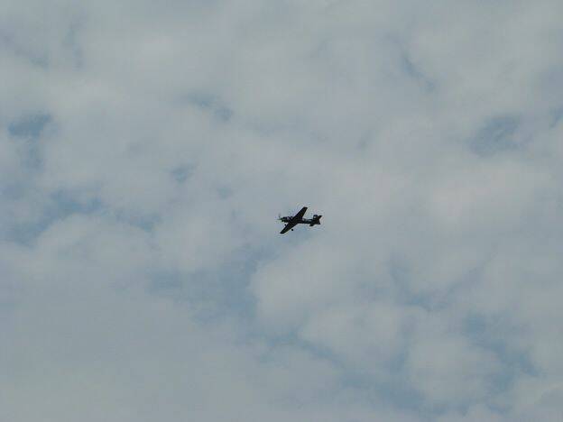 m_DSC02972.jpg
